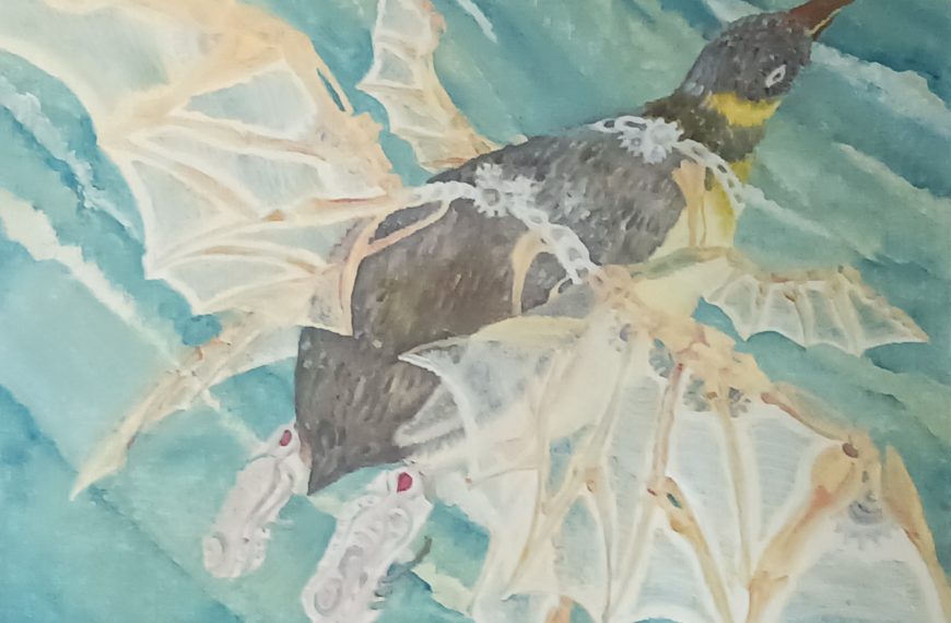 ペカロス水空両用機