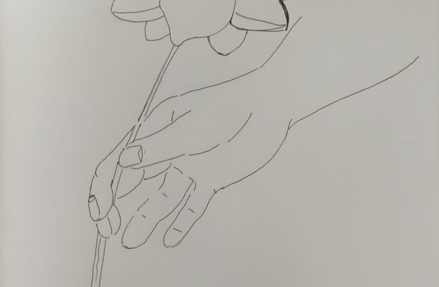 読書感想画　奥山景布子『葵の残葉』