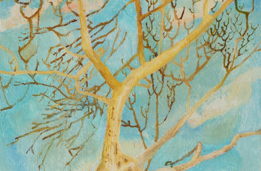 白木～ククノチ～