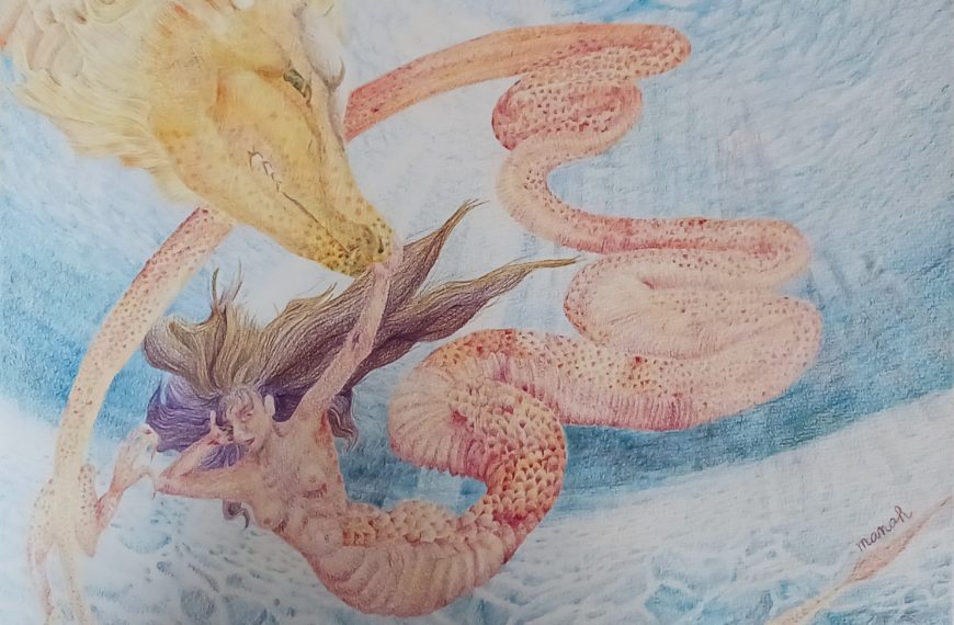 赤堀道元の娘　表紙